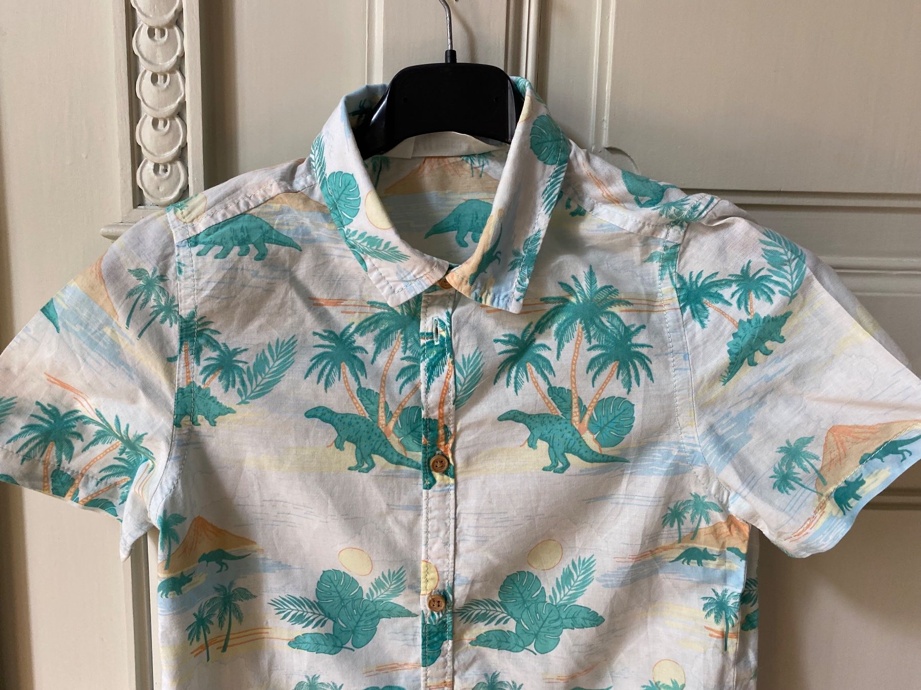 H&M Hemden, T-Shirts & Polos: H&M Hemd Gr. 128 mit Dinosauriermuster, Sommerlich! – Gebraucht aus Fribourg von geraldine132