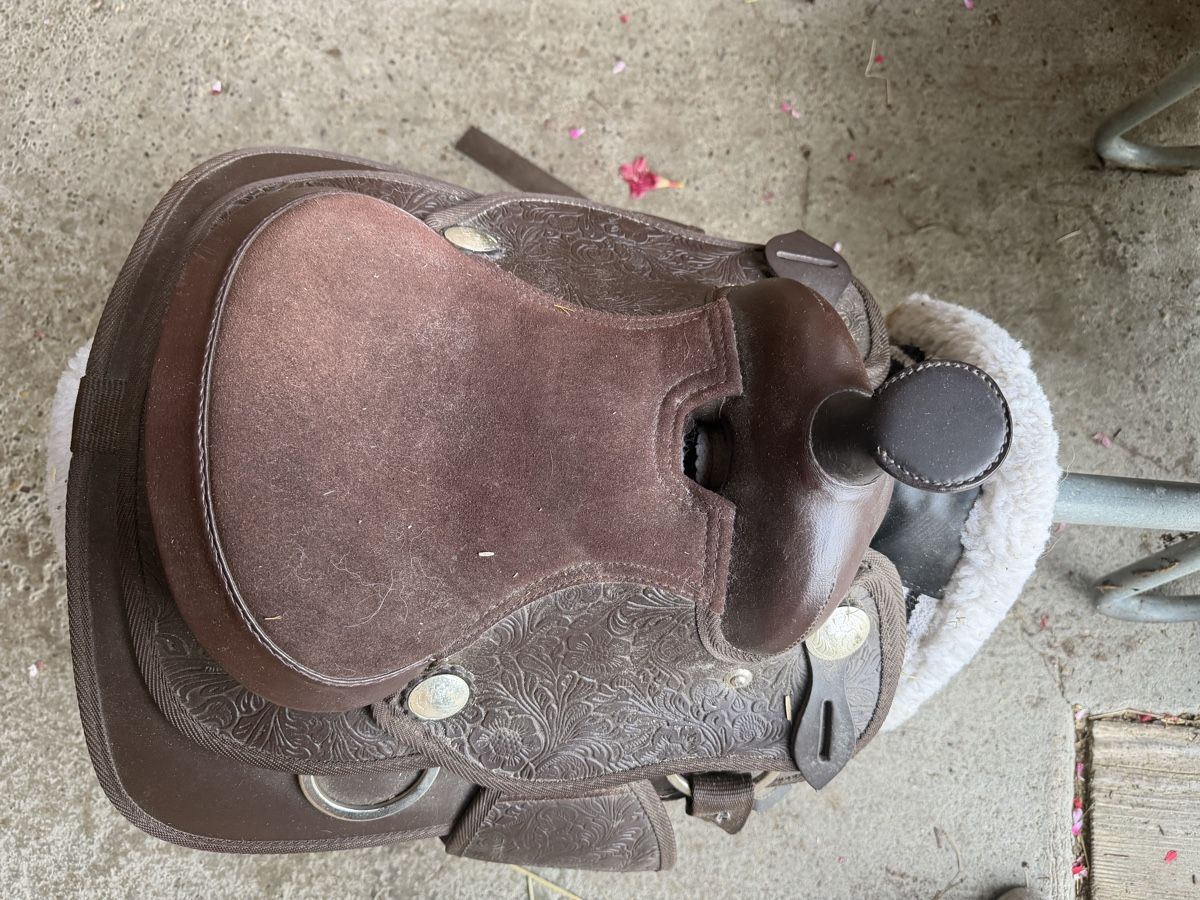 Selle & Accessori: Westernsattel Shetty – Nuovo (secondo la descrizione) da Wohlen b. Bern venduto da chrige84 1