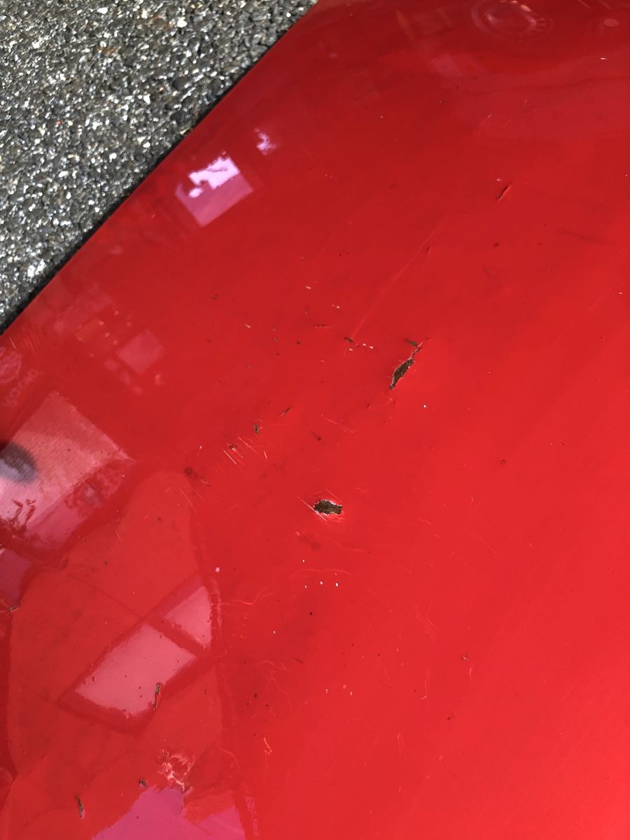 Volvo Tutti pezzi di ricambio auto: Kofferraum Abdeckung Volvo Amazon – Usato da Balzers venduto da edg_hw5p 4