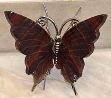 Iron Tigerauge Schmetterling