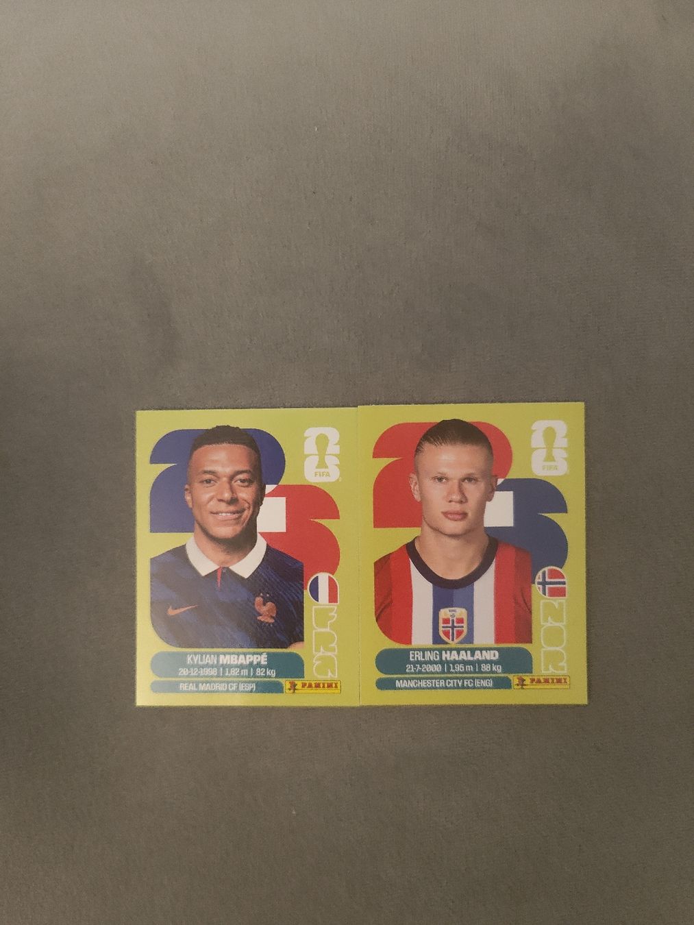 Panini Carte collezionabili: Haaland und Mbappe Paninibilder – Nuovo (secondo la descrizione) da Unterlunkhofen venduto da Dee_89