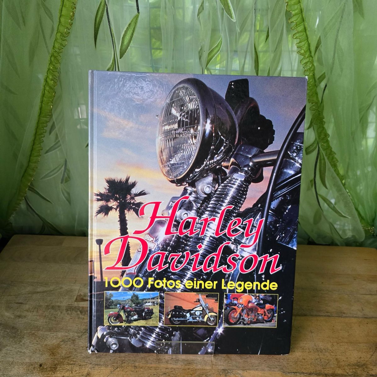 Libri: Harley Davidson Buch – Usato da Merlischachen venduto da Sheavy 1
