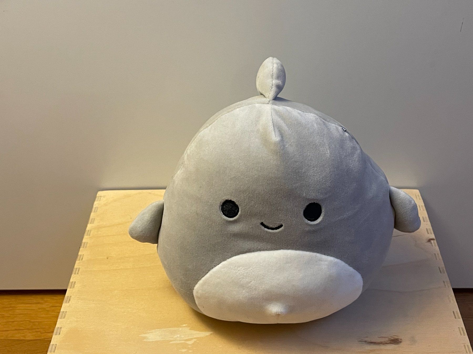 Squishmallows Giocattoli: Squishmallows Haifisch Gordon | 18 cm – Usato da Aarau venduto da Chicca2006