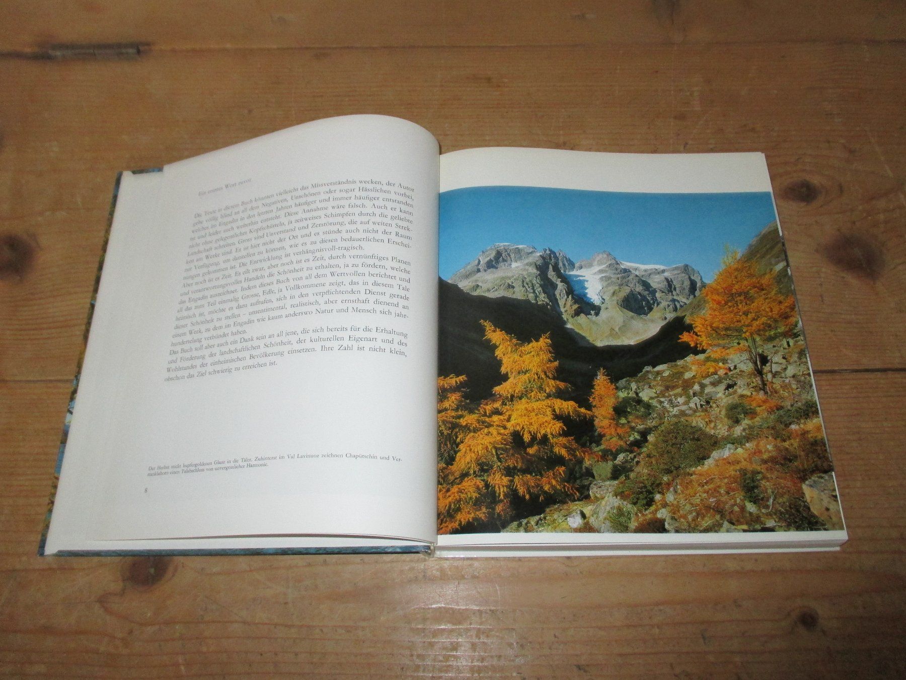 Libri: Leuchtendes Engadin 1972 – Usato da Flims - Dorf venduto da Stagediver 1