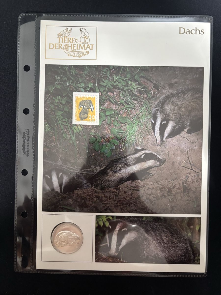 Medaillen: Silbermedaille Tiere der Heimat "Dachs" - mit Briefmarke – Gebraucht aus Lauerz von joe_x8vk