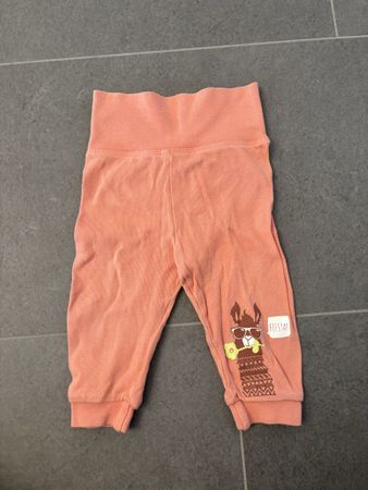 Hose, Gr 62/68