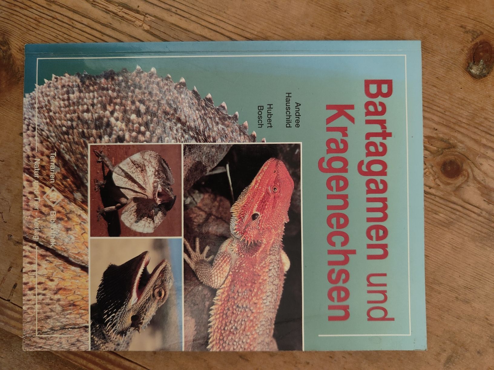 Libri: Bartagamen und Kragenechsen Buch – Usato da hausen am albis venduto da Migrep