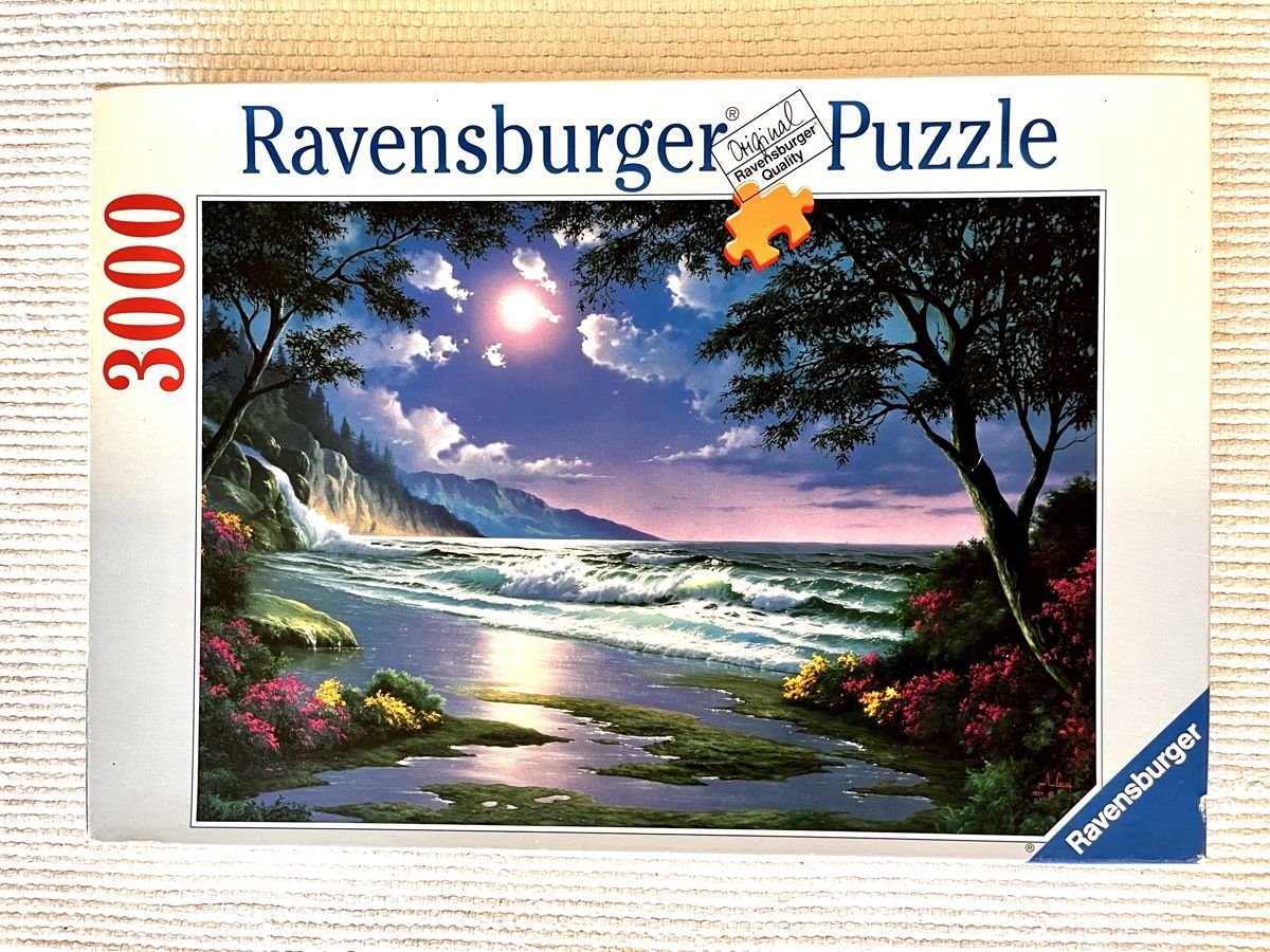 Ravensburger Puzzle: 3000 Teile Puzzle – Usato da Basel venduto da ambereve
