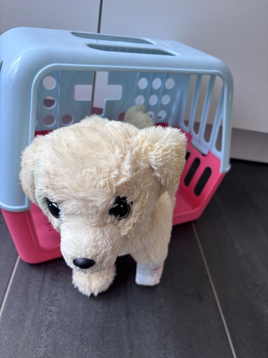 Giocattoli: Little Live Pet Ouchie Hund – Usato da Uster venduto da bat_f22x