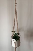 Boho Makramee Zimmerpflanze Schefflera im Blumentopf Metall