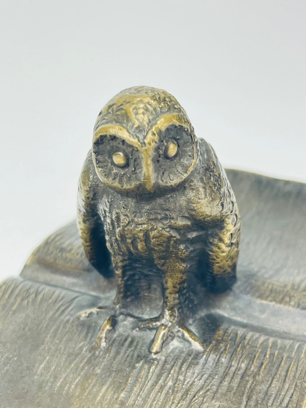 Statuette: Antike Bronze-Figur: Eule auf Buch (J.F. Büchs, um 1900) – Usato da Zürich venduto da Arche_Brockenhaus 5