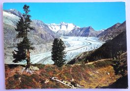 Der Grosse Aletschgletscher