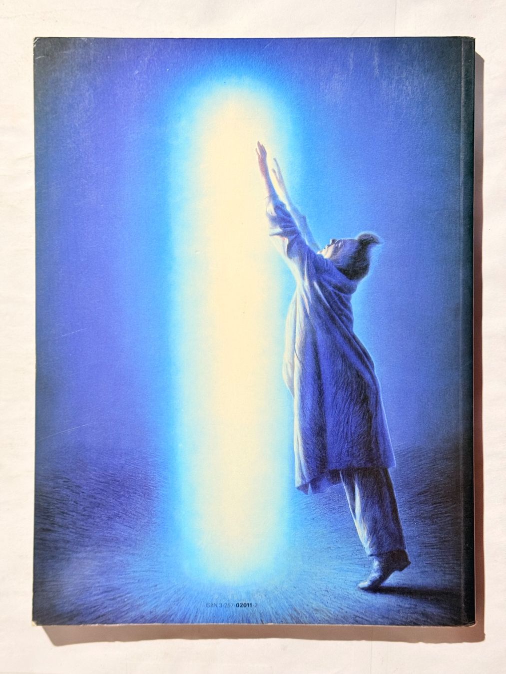 Libri: Helnwein "Die Katastrophe" - Handsigniert! – Usato da Zuerich venduto da SonderArt-Wertgut 7