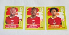 Panini FIFA World Cup WM 2026 - KANADA - CAN 5 - 9 - 17