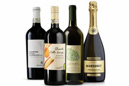 1120 Bouteilles - Lot de vin (Excellente opportunité!)