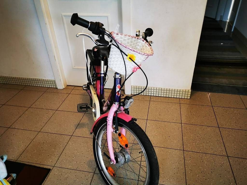 Puky Biciclette: Puky Skyride 20" – Usato da Genève venduto da w64 1