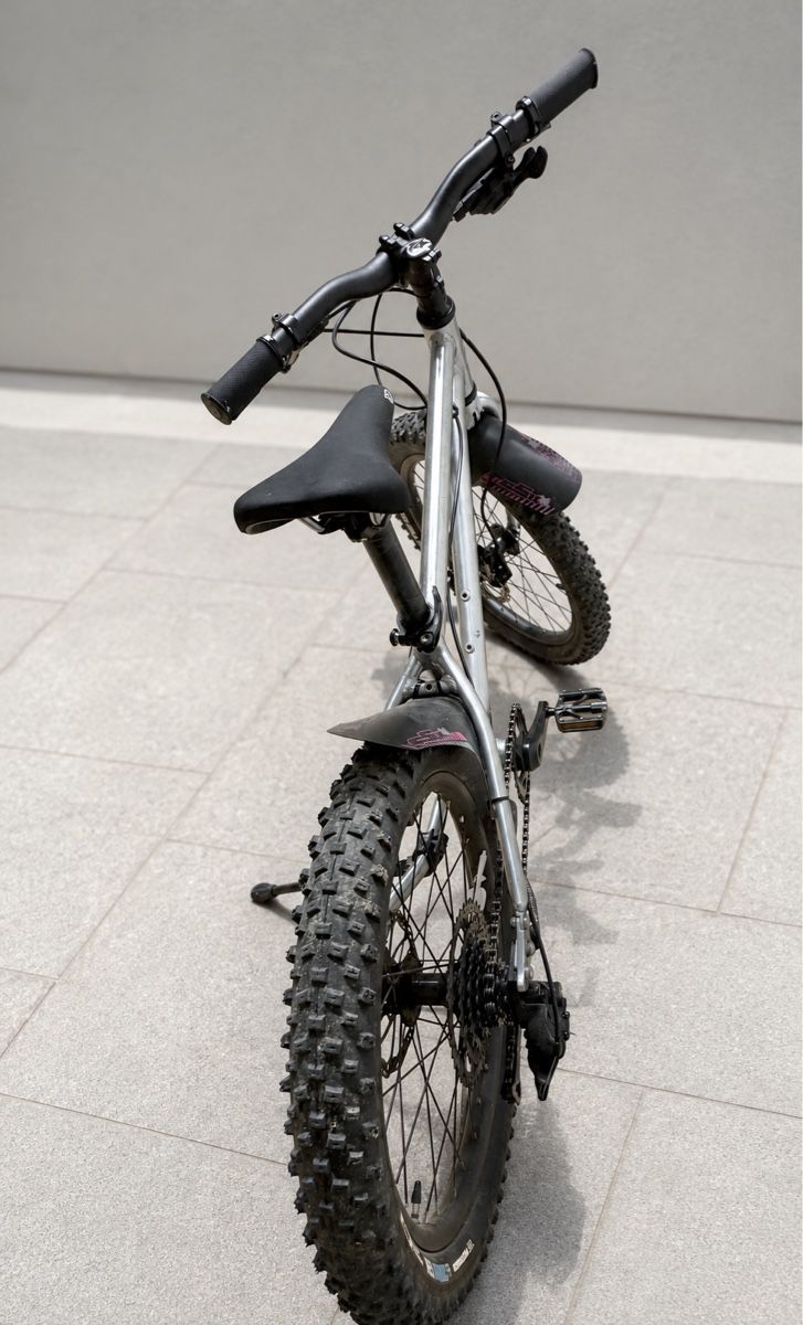 Early Rider Biciclette: Early Rider Seeker 20  – Usato da Zürich venduto da Lupo2026 2