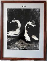 René Zürcher, Suisse, photographies, série corps 1991-1997