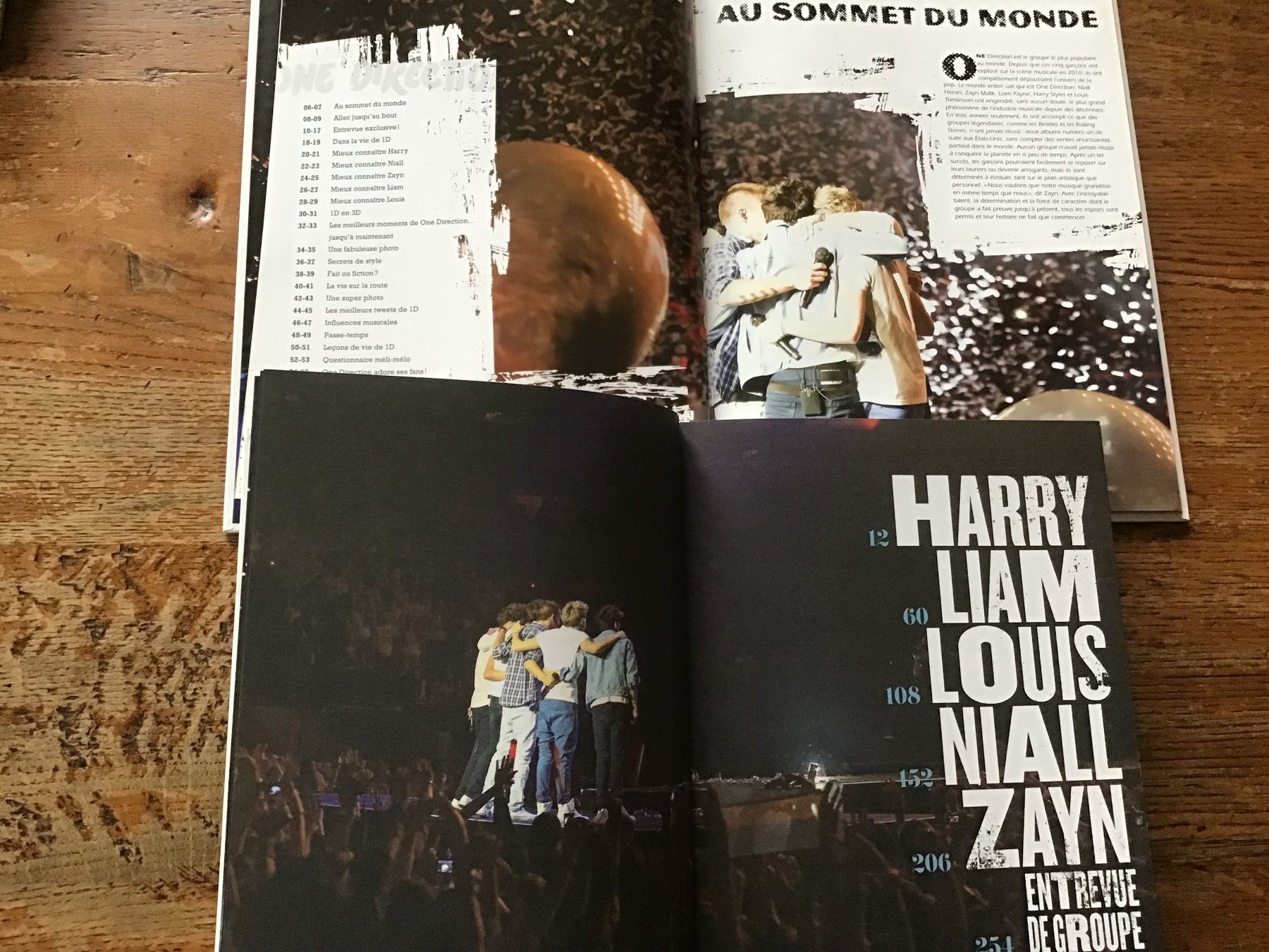 Libri: Lot 2 livres One Direction – Usato da Fully venduto da Ruby97 1