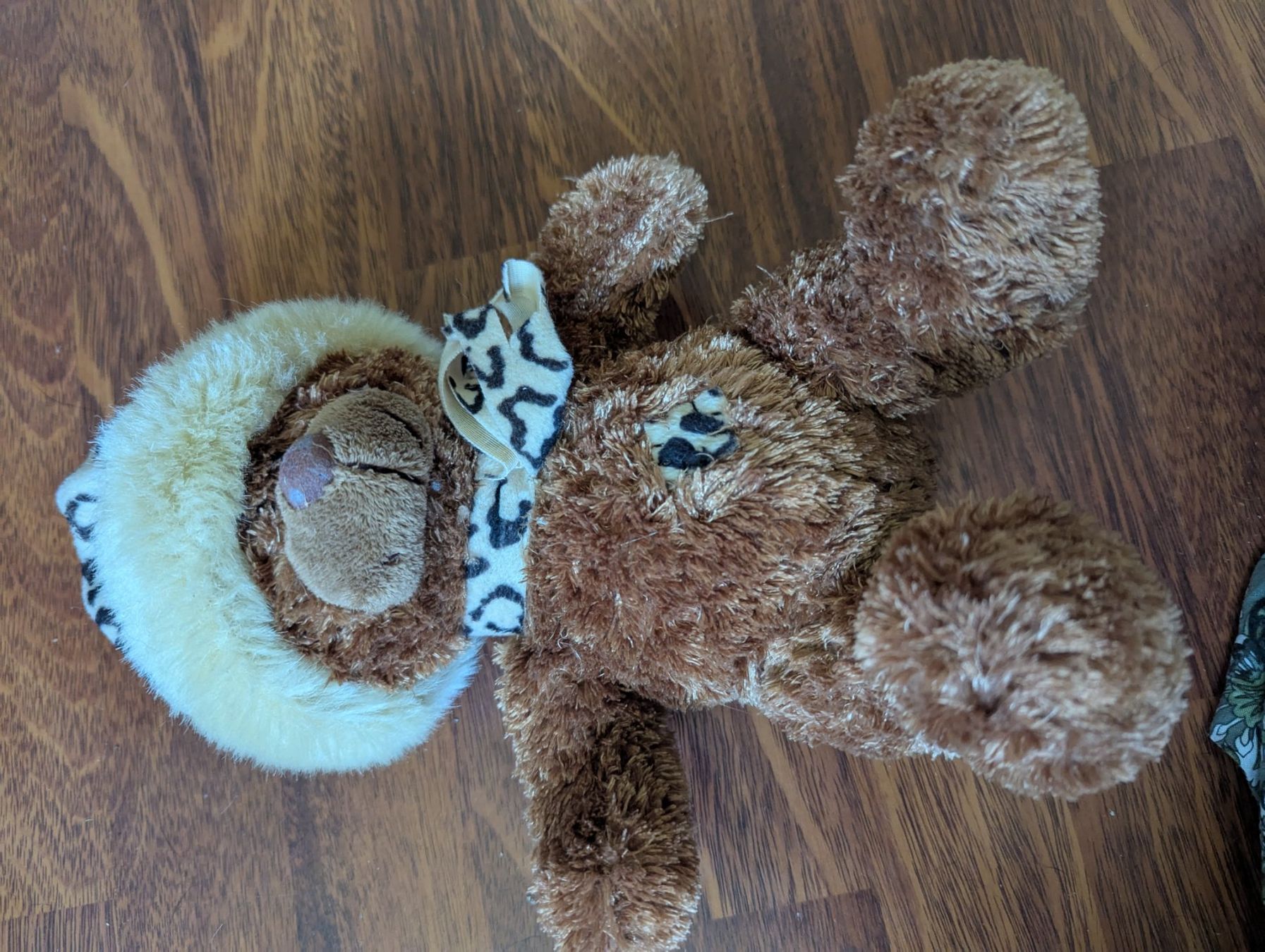 Giocattoli: Stofftier Teddy – Usato da Wangen ZH venduto da Nadja056