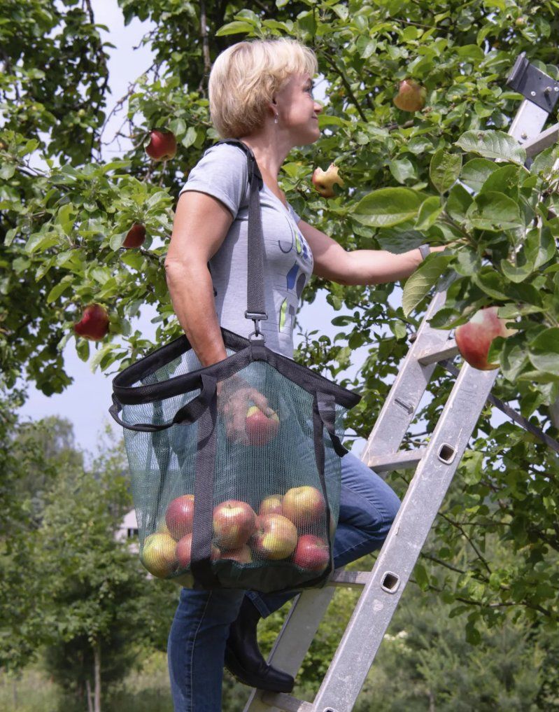 Alle Werkzeuge: Erntehelfer Set: Apfelpflücker & Gartenernte Tasche – Neu und originalverpackt aus Koppigen von Bracher_Mail-House 1