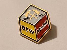 1 Pin BFW Model