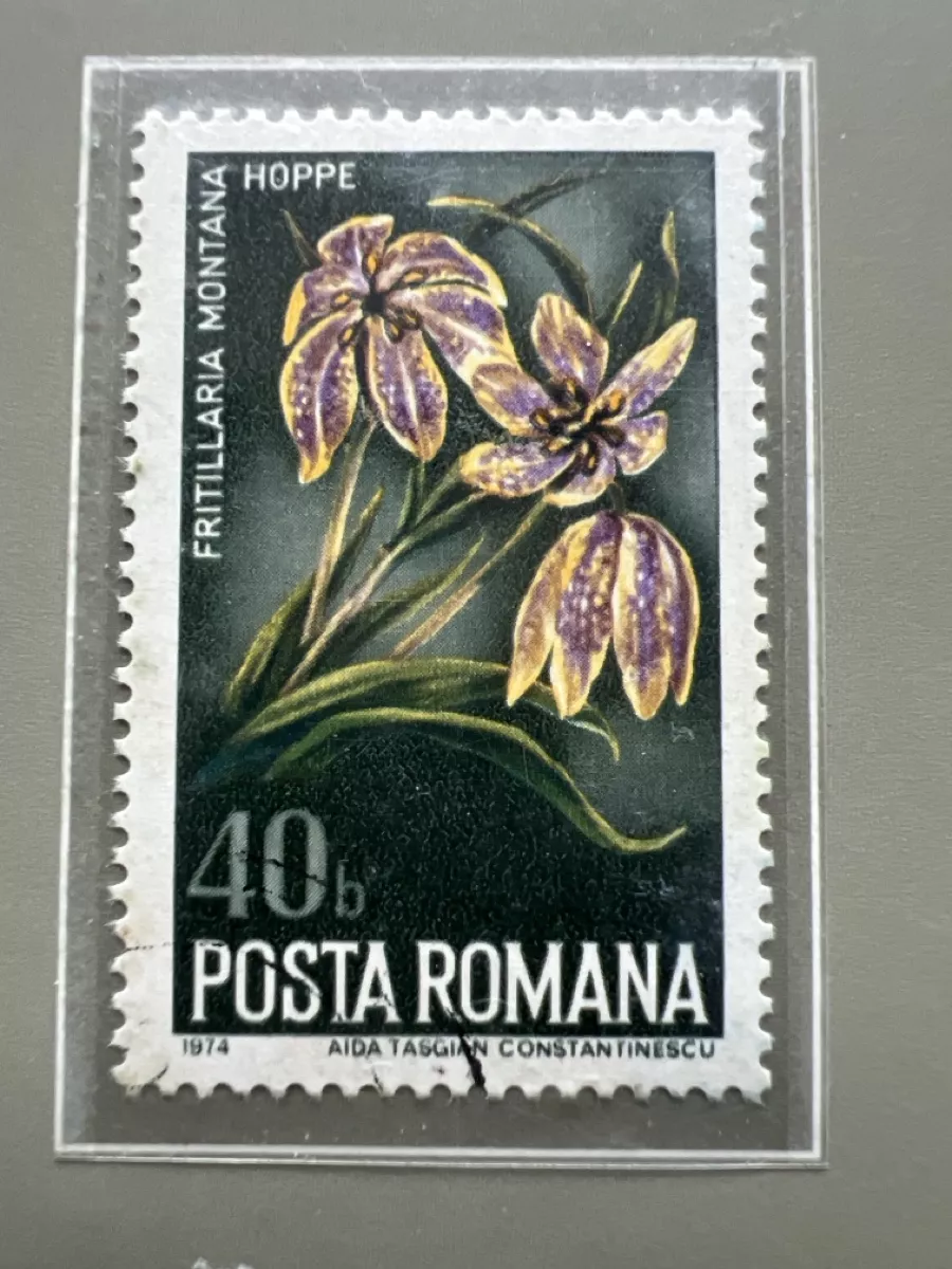 Tutti i francobolli: Briefmarken Rumänien  – Usato da Glattbrugg venduto da Artos67 2