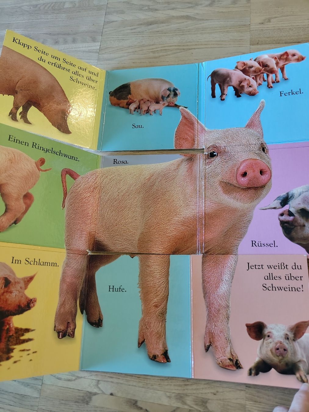Bücher: Kinderbücher-Set: 4 Stk. Klapp-Buch, Stoff-Buch – Gebraucht aus Pratteln von Malvea 1