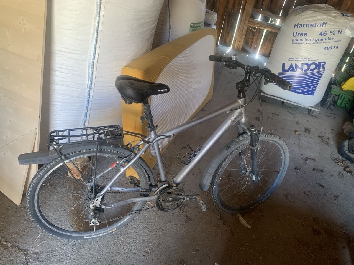 Canyon Vélos: Canyon Fahrad – D'occasion à Utzigen par mon_frw5