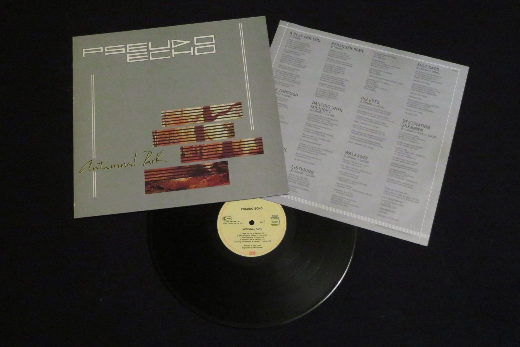 Schallplatten: PSEUDO ECHO Autumnal Park / NEW WAVE – Gebraucht aus Rüti ZH von cryptie66