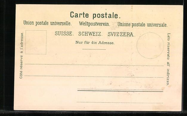 Cartoline postali: Litho Brienz, Teilansicht mit Blick auf  – Usato da Berlin venduto da bartko-reher 1