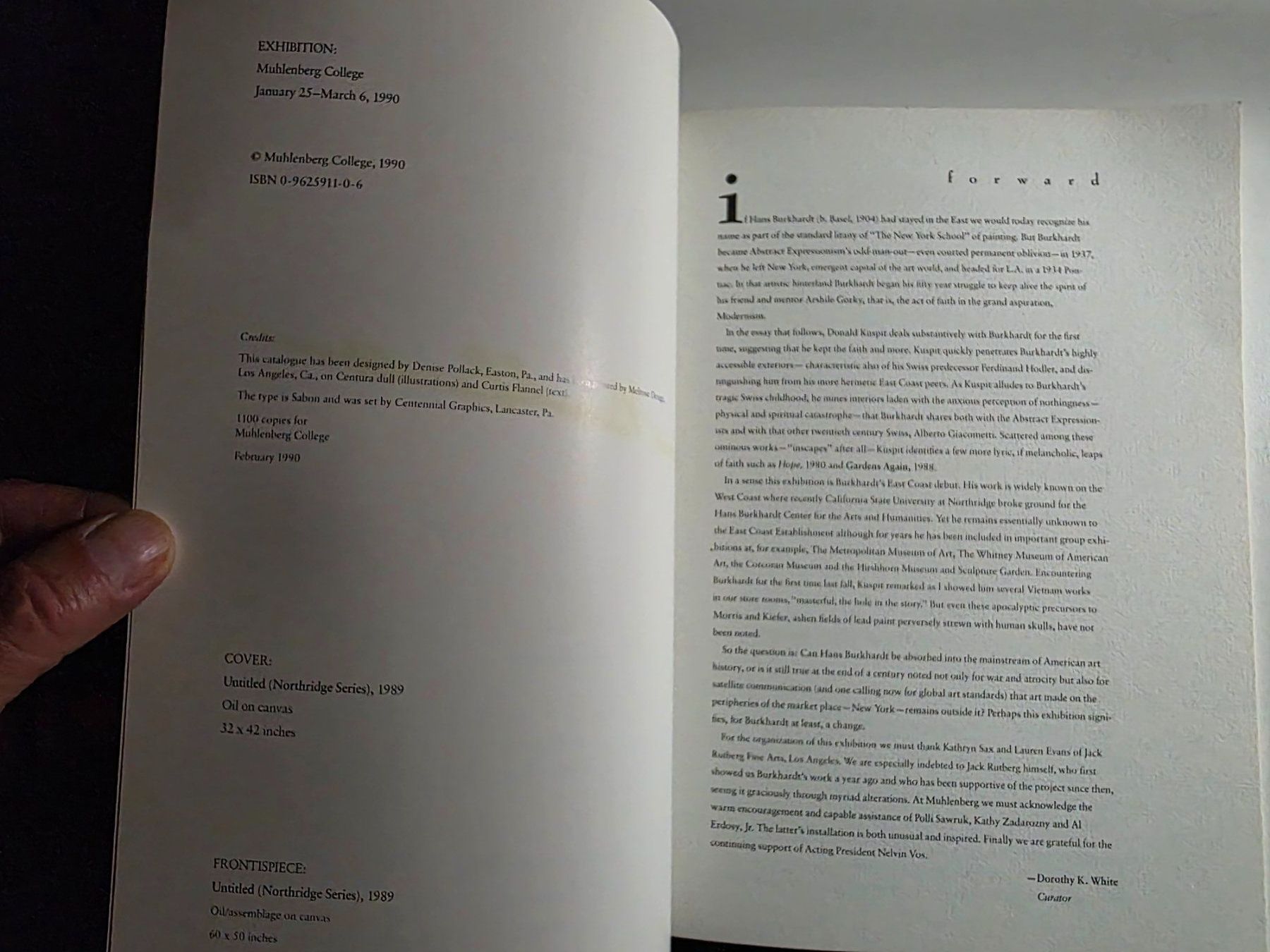 Libri: Hans Burkhardt - Catastrophe - Donald Kuspit 1990 – Usato da Walterswil BE venduto da Lonitti 6