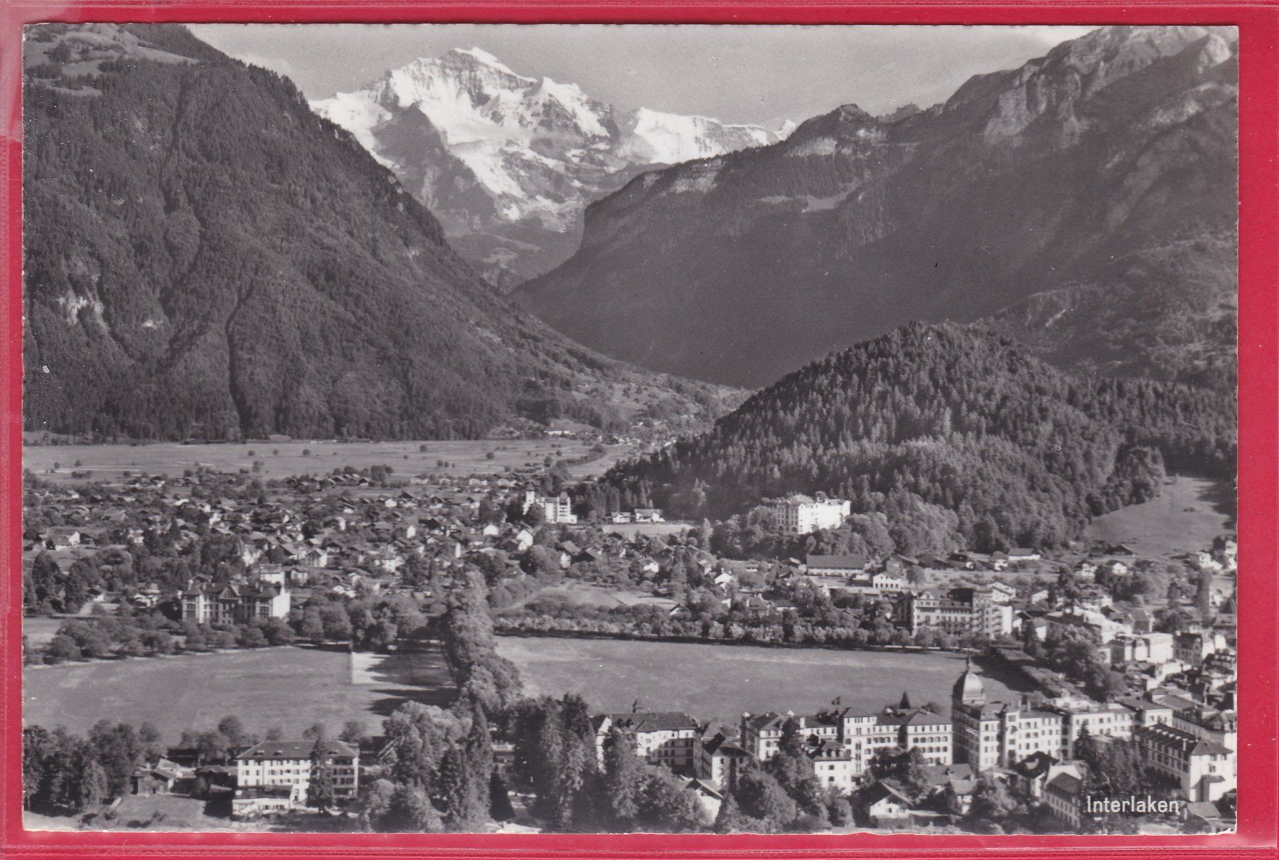 Ansichtskarten: INTERLAKEN, BLICK AUF JUNGFRAU, 5.8.1960 – Gebraucht aus Oberrieden von Gebirgsstelze