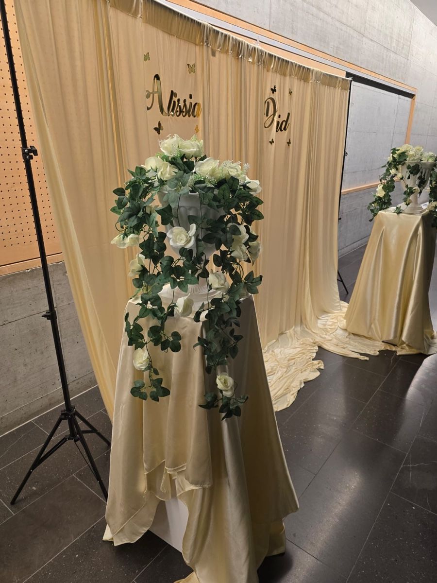 Autres décorations & accessoires: Teleskopstange – D'occasion à kreuzlingen par ilenia.uensal 1