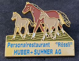 CC521 - Pin Pferd Pferde Personal-Restaurant Rössli Huber+S.
