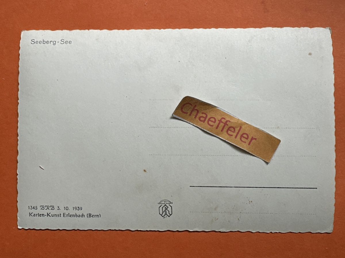 Cartoline postali: Seeberg-See – Usato da Zürich venduto da Chaeffeler 1