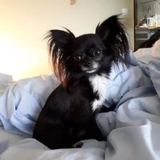 Profile image of Daisy022