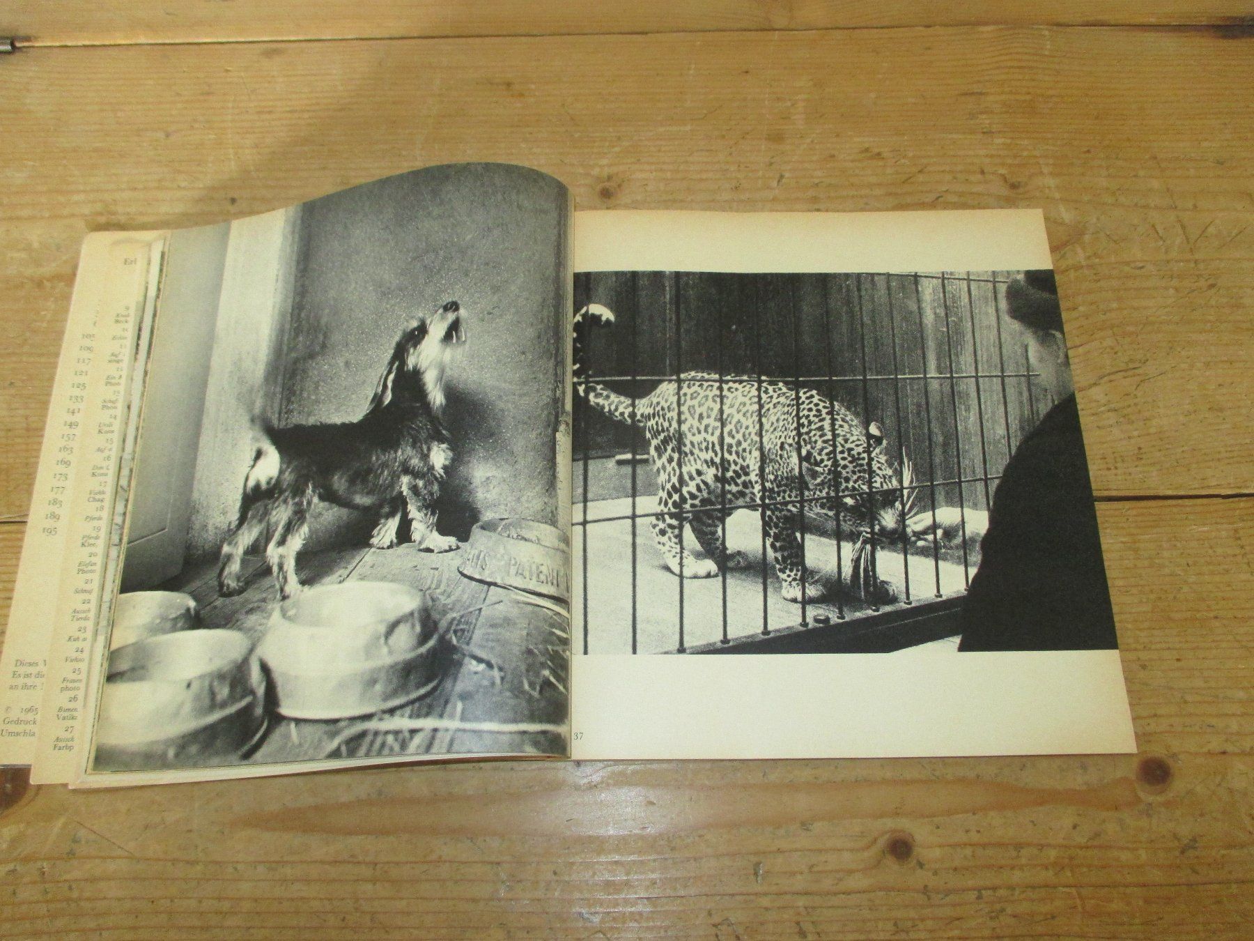 Libri: Der Mensch mit den Tieren, 1965 – Usato da Flims - Dorf venduto da Stagediver 4