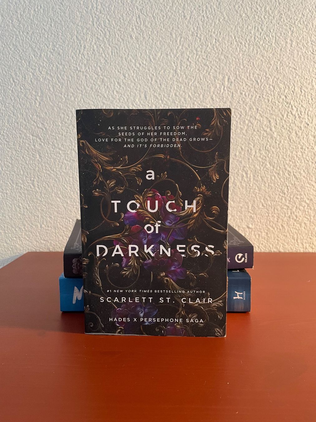 Bücher: A Touch of Darkness by S. St. Clair – Neu (gemäss Beschreibung) aus Zürich von sofi2ndhand