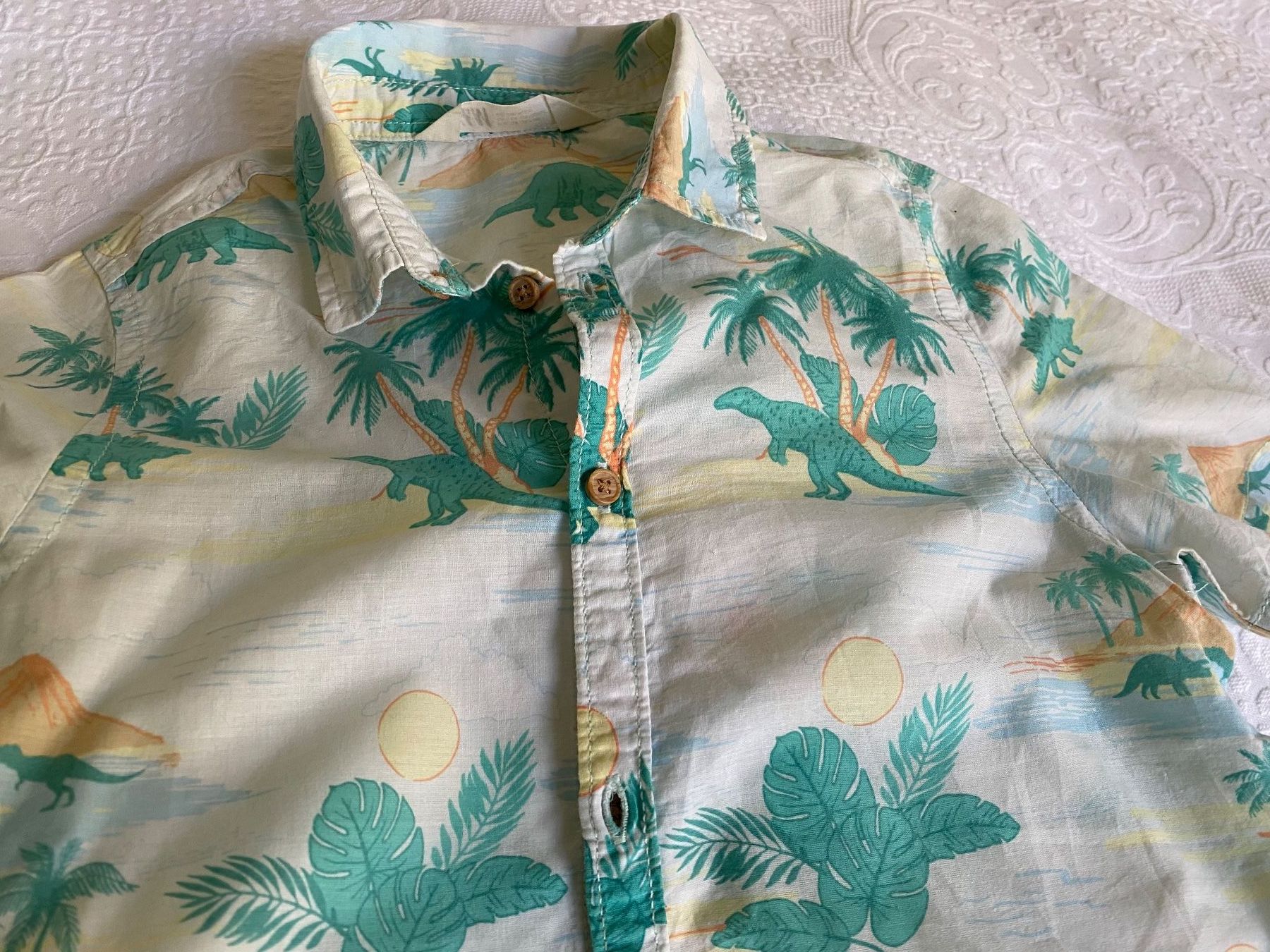 H&M Hemden, T-Shirts & Polos: H&M Hemd Gr. 128 mit Dinosauriermuster, Sommerlich! – Gebraucht aus Fribourg von geraldine132 4