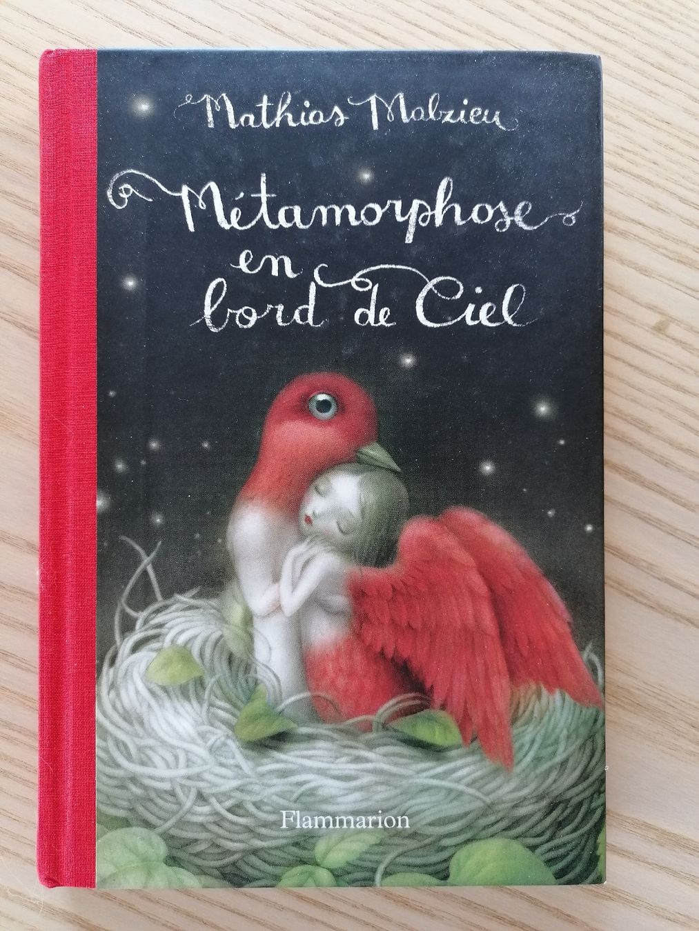 Libri: Métamorphose en bord de ciel – Nuovo (secondo la descrizione) da Bretigny-Morrens venduto da solveiga