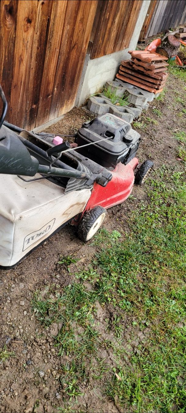 Toro Rasenmäher: Gebrauchter Rasenmäher Toro Recycler – Gebraucht aus Niederlenz von DaveDasWahnsinn 6