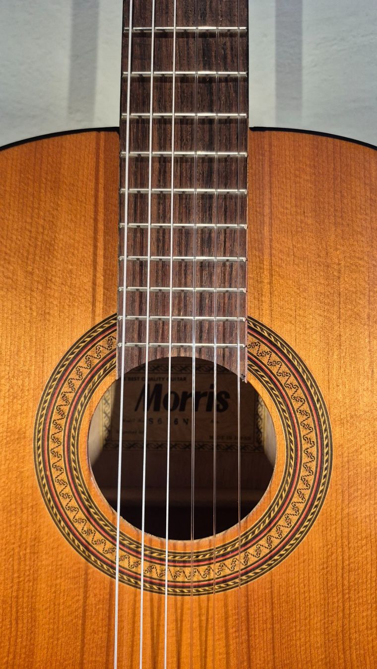 Strumenti musicali: Kinder Gitarre Morris S616N – Usato da Winterthur venduto da NorrSydGuitars 3