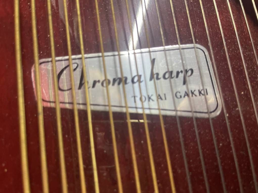 Strumenti musicali: Tokai gakki chromaharp  – Usato da Gentilino venduto da sar_m6sx 2