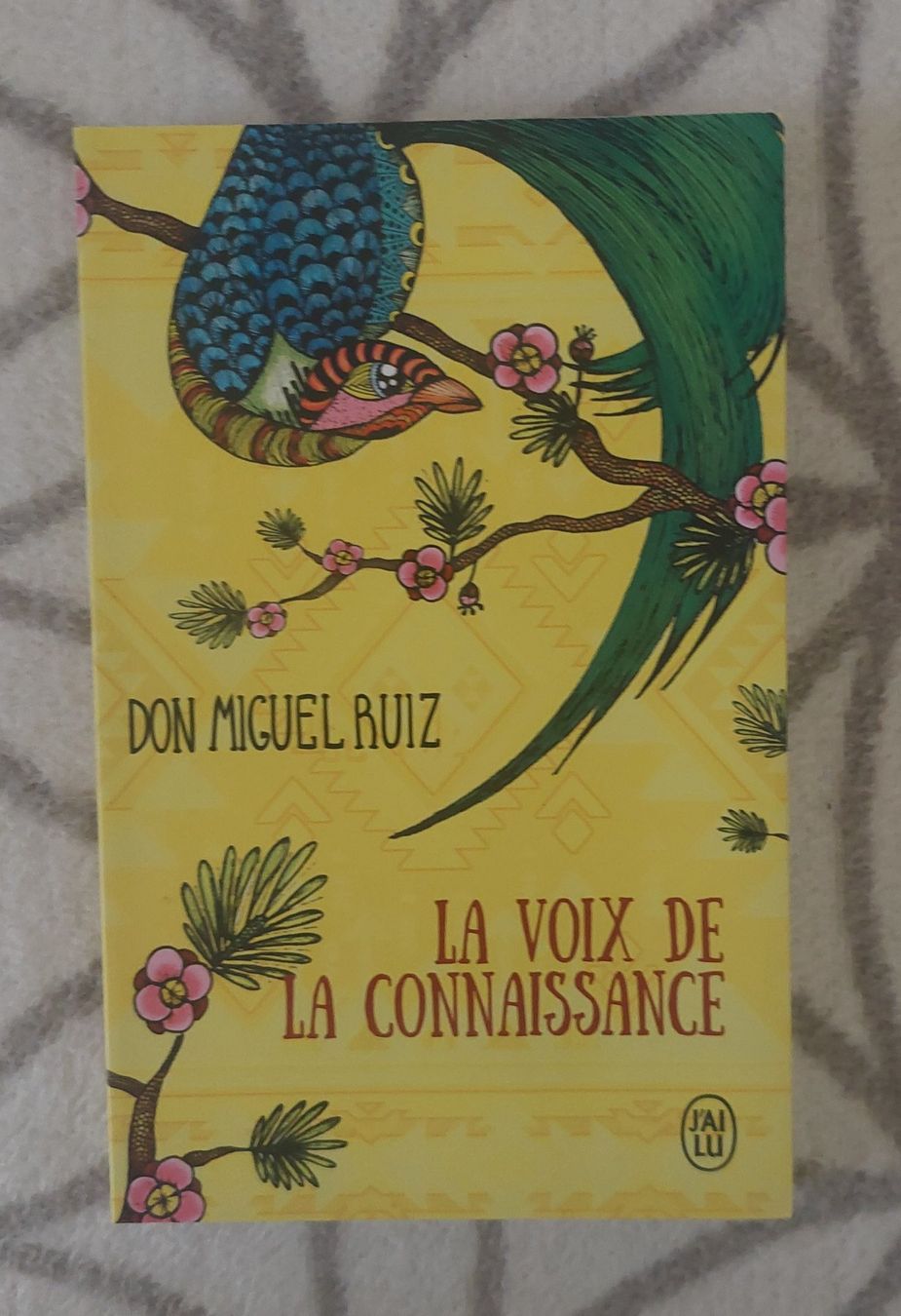 Libri: La voix de la connaissance – Usato da Bassins venduto da Dyva80