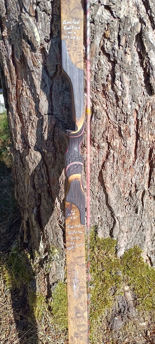 Tiro con l'arco: Bogen Hybrid Custom – Usato da Rothrist venduto da Pfadfinder03 5