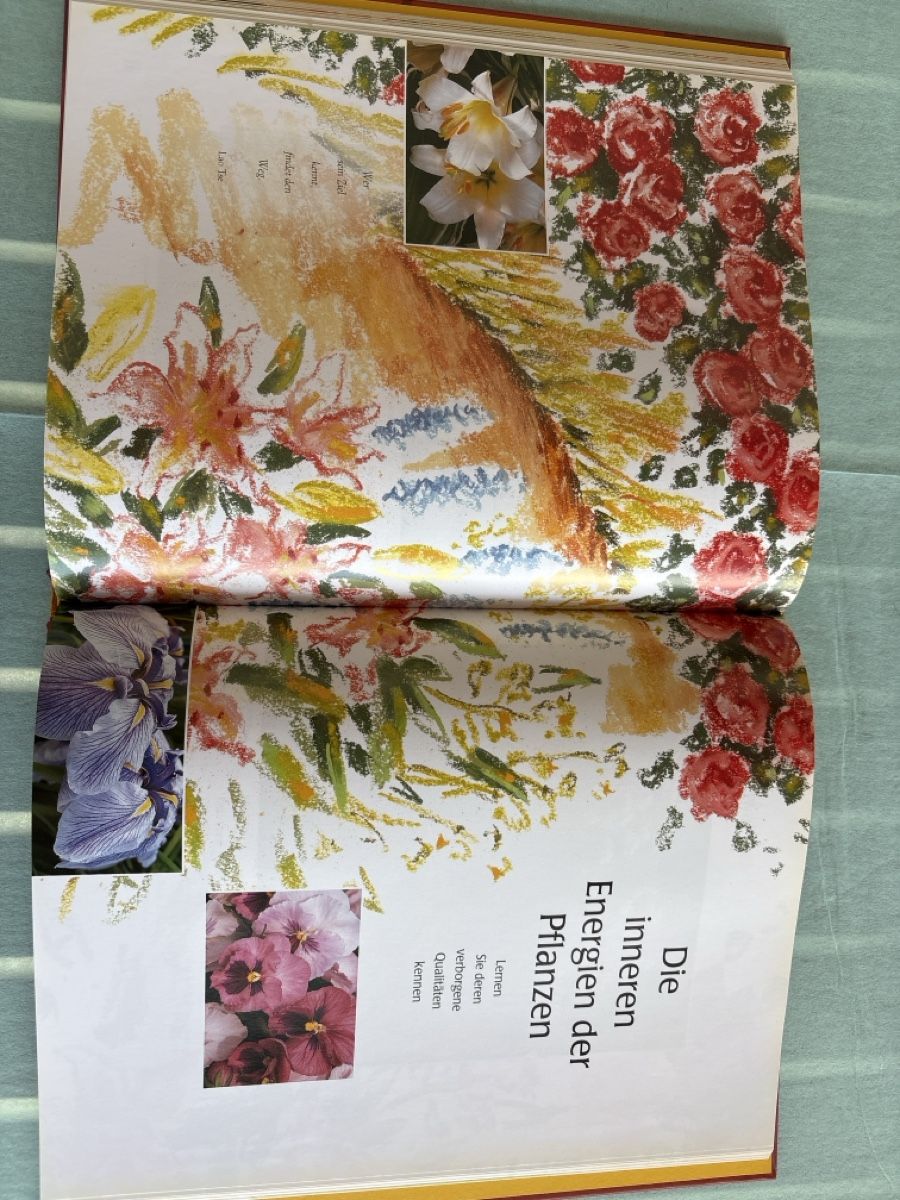 Libri: Feng Shui   Garten der Sinne – Nuovo (secondo la descrizione) da Grenchen venduto da nethy 2