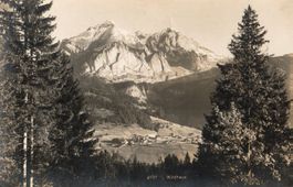 Wildhaus