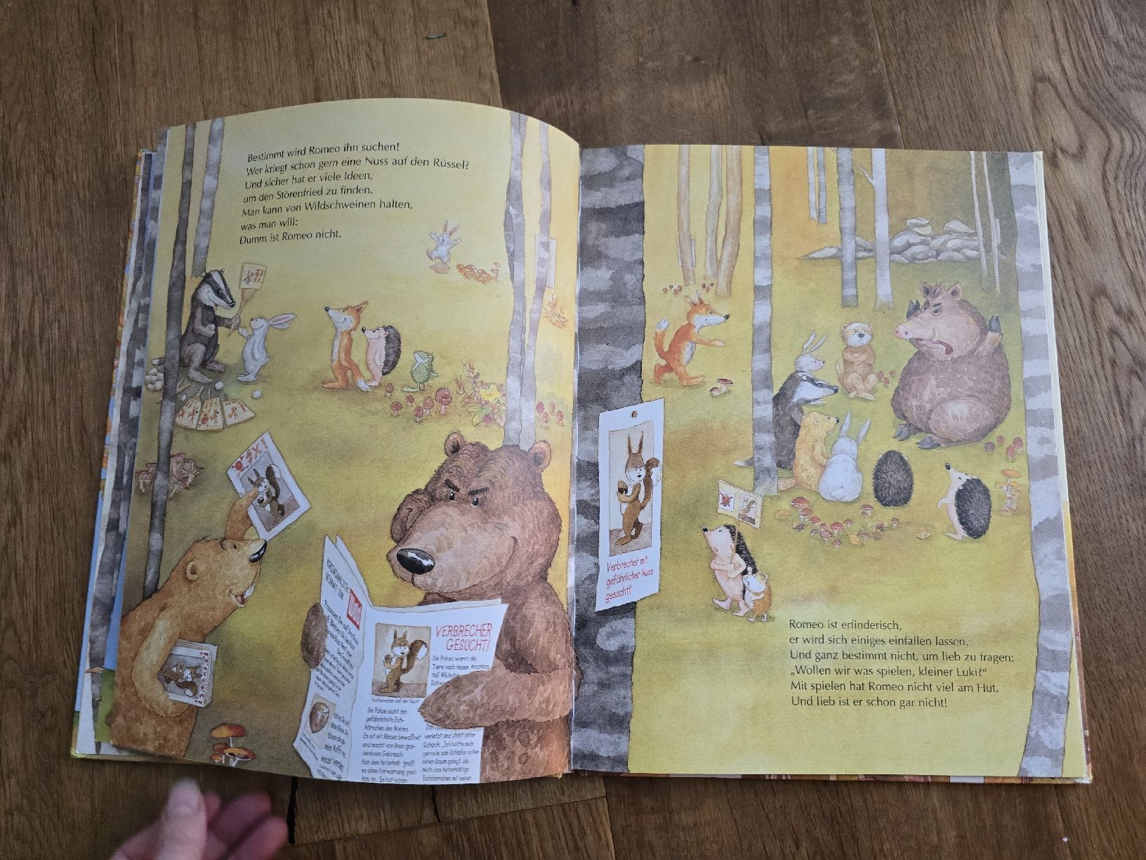 Libri: Kinderbuch "Probier's mal mit Entschuldigung!" neuwertig – Usato da Wittenbach venduto da Tigerlili 3