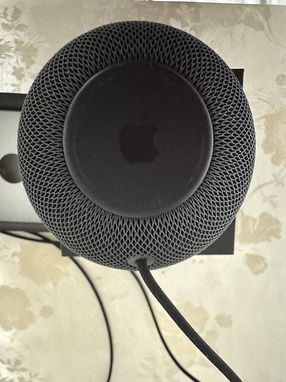 Casse acustiche: HomePod Mini Apple (schwarz) – Usato da Reinach BL venduto da j_7fjs 2